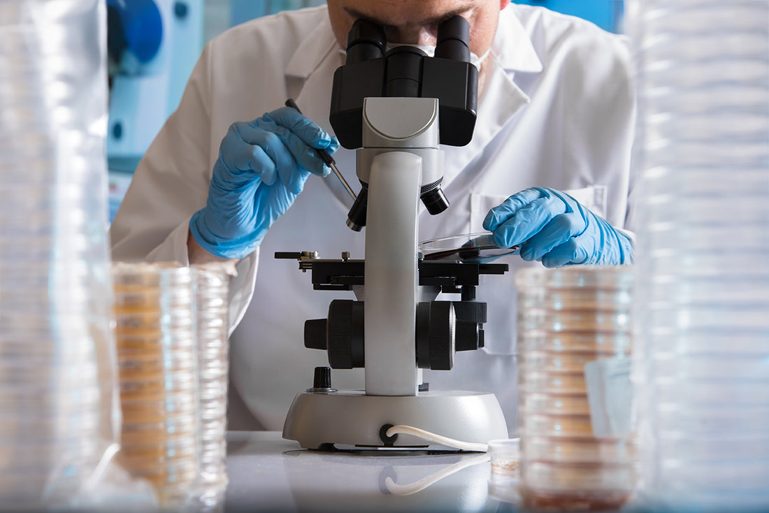 Big Pharma ditches antibiotic research when it’s needed most - Puremedy responds