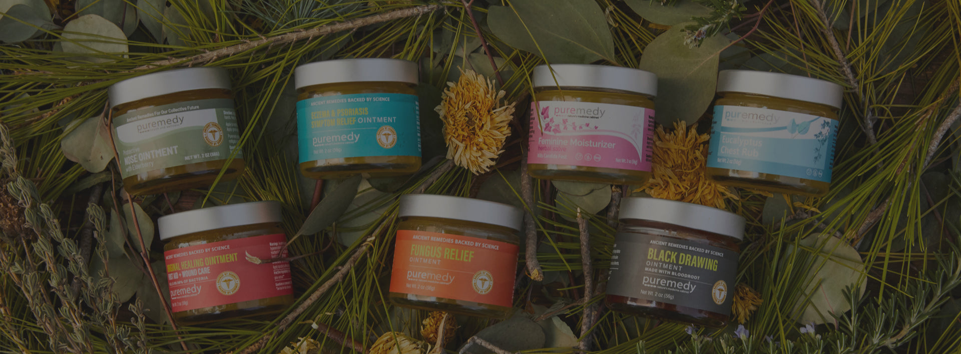 Ancient Remedies <br>Backed By Science