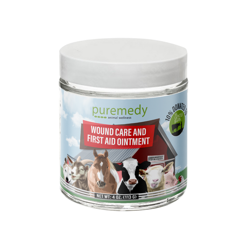 Pet-Care Healing Balm